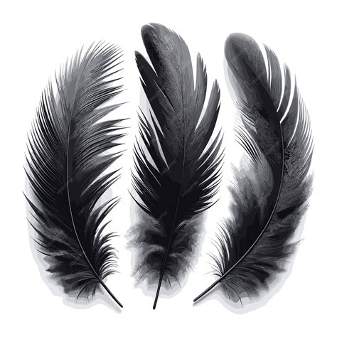 Plumas negras Continuara.org