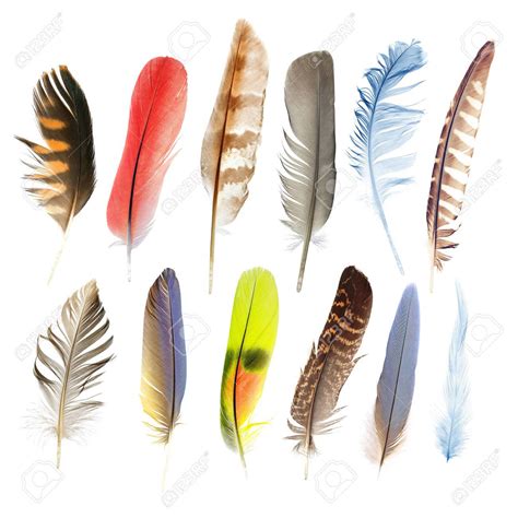 Plumas Continuara.org