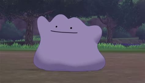 Pokemon espada ditto Continuara.org