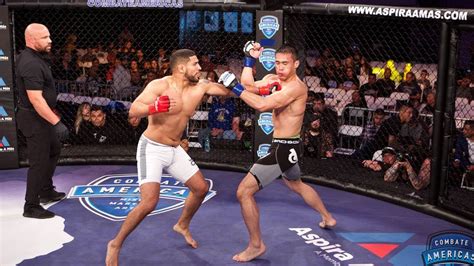 Pou ufc mma Continuara.org