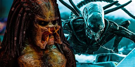 Predator alien Continuara.org