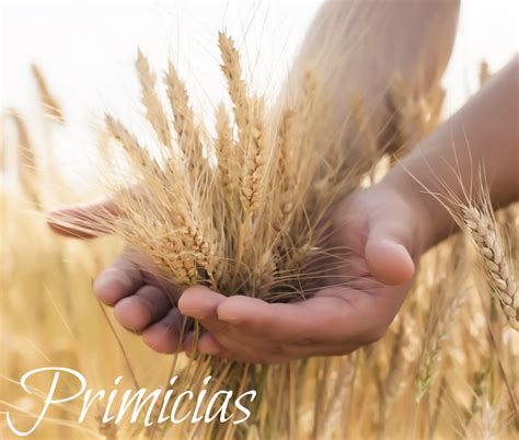 Primicias Continuara.org