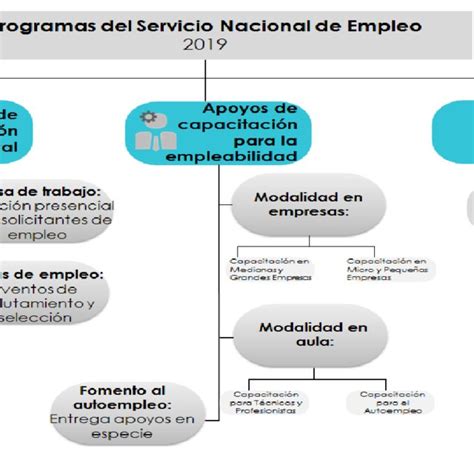 Programas 2019 servicio Continuara.org