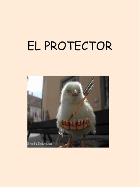 Protector Continuara.org