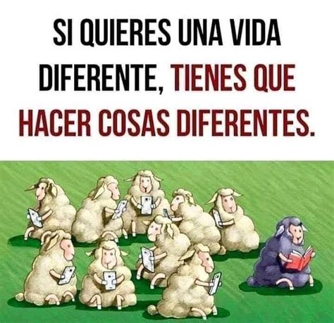 Quieres algo diferente Continuara.org