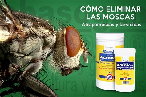 Quita moscas Continuara.org