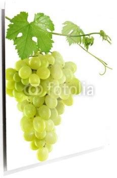 Racimo uvas metacrilato Continuara.org
