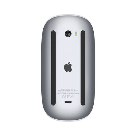 Raton apple Continuara.org
