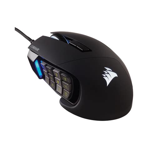 Raton corsair scimitar Continuara.org