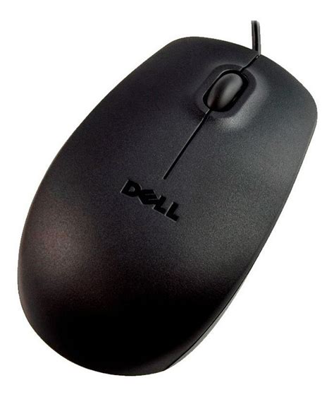 Raton dell Continuara.org