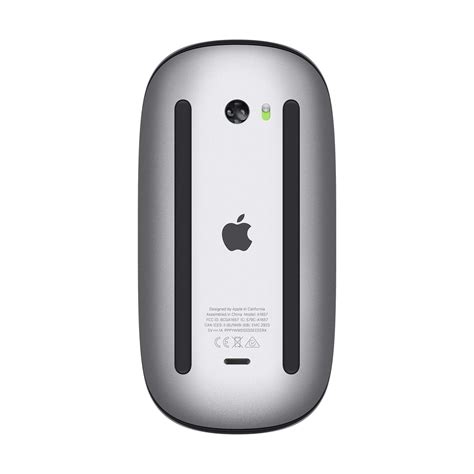Raton mouse apple Continuara.org