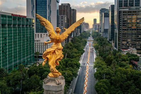 Reforma Continuara.org