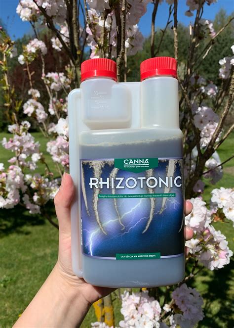 Rhizotonic Continuara.org