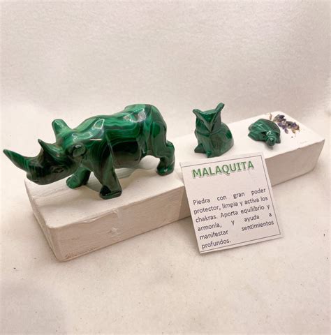 Rinoceronte malaquita Continuara.org