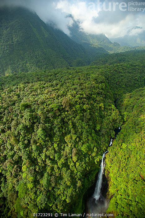 Rio ole Continuara.org