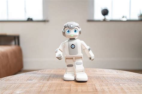 Robin robot Continuara.org