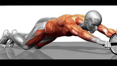 Rodillo abdominales Continuara.org