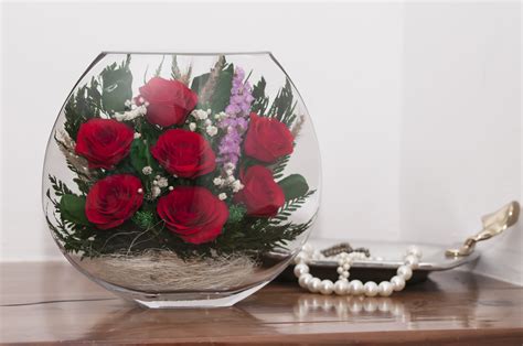 Rosas naturales preservadas Continuara.org
