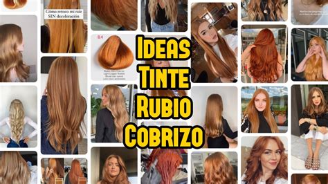 Rubio todas las Continuara.org