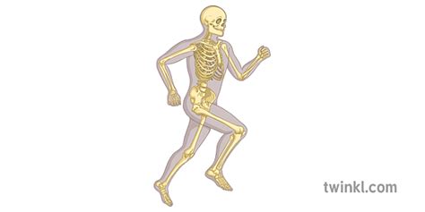 Run bones Continuara.org