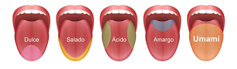 Sabor Continuara.org