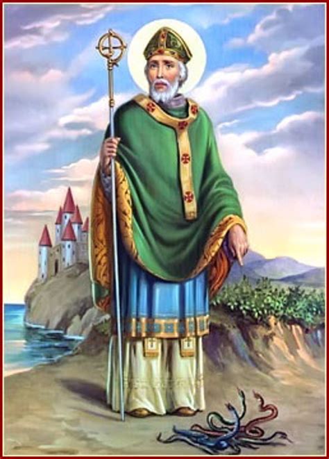 San patricio imagen Continuara.org