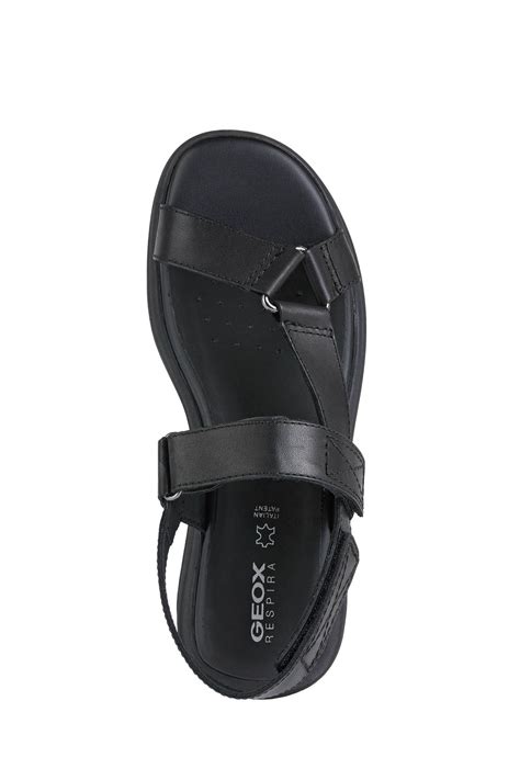 Sandalias geox numero Continuara.org