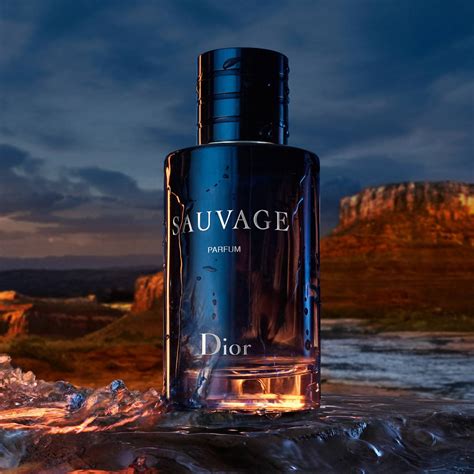 Sauvage dior Continuara.org
