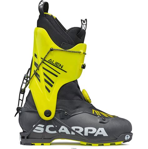 Scarpa alien Continuara.org