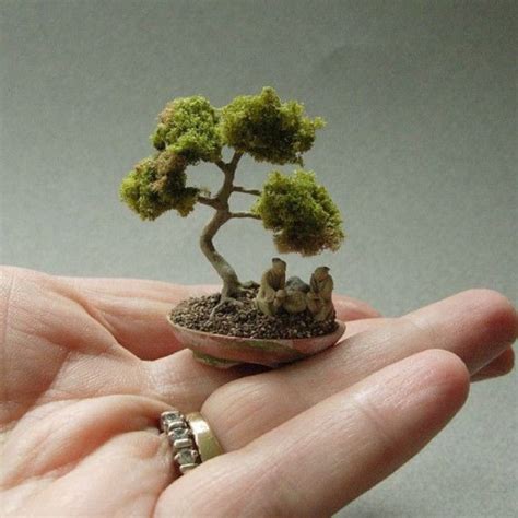 Se bonsai mini Continuara.org