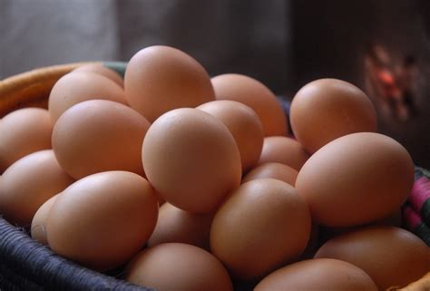 Se huevos Continuara.org