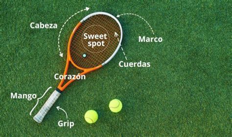 Se raqueta tennis Continuara.org