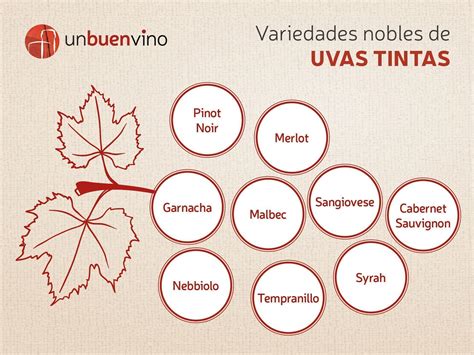 Se uvas tintas Continuara.org