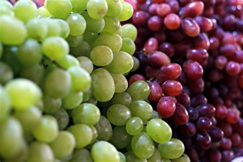 Se uvas Continuara.org