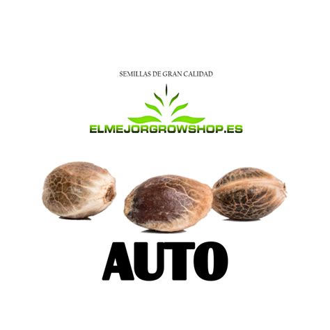 Semillas auto Continuara.org