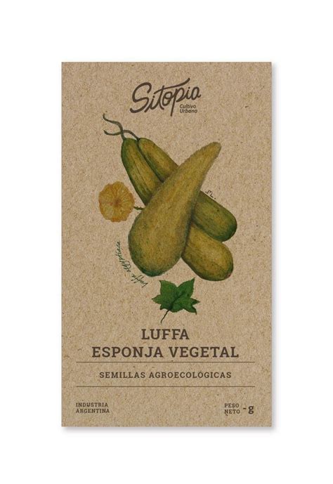 Semillas lufa esponja Continuara.org