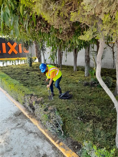 Servicio jardineria especializado Continuara.org