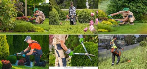 Servicios jardinero Continuara.org