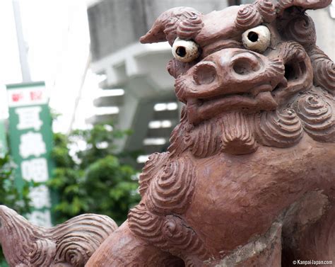 Shisa Continuara.org