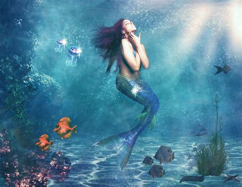 Sirena Continuara.org