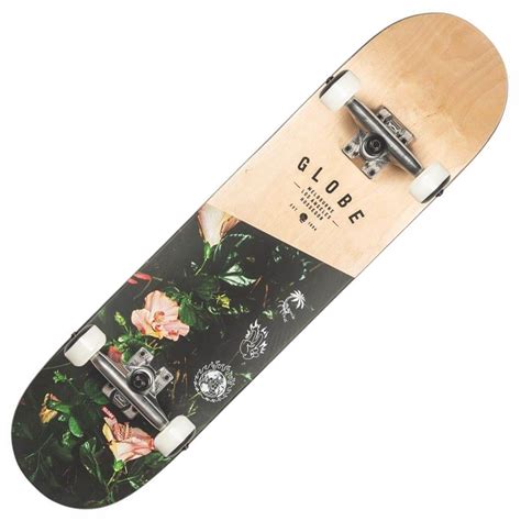 Skate globe Continuara.org