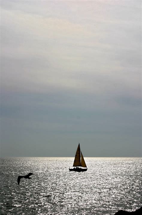 Solo barco Continuara.org