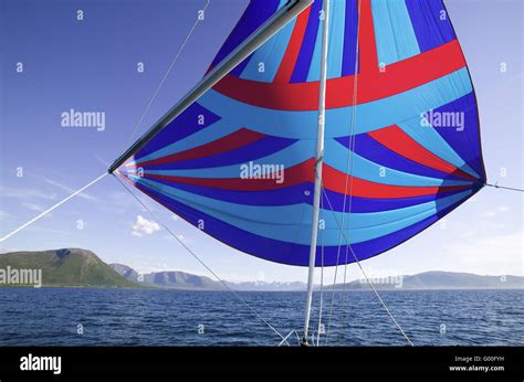 Spinaker Continuara.org