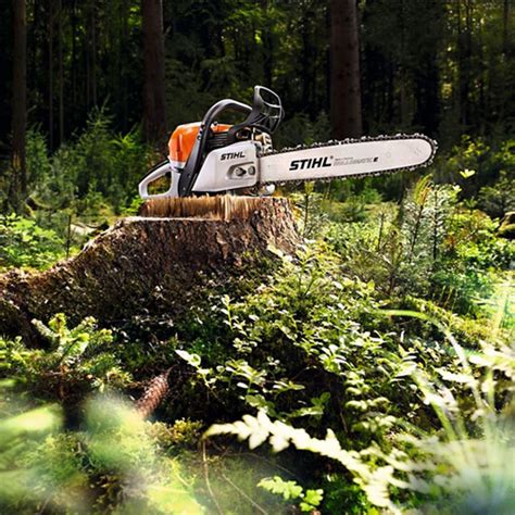 Stihl ms Continuara.org