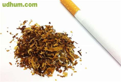 @@tabaco entubar liar Continuara.org