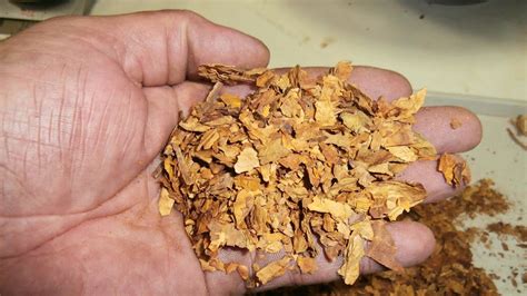 Tabaco entubar Continuara.org