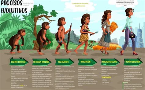 Tabla evolutiva Continuara.org