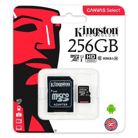 Tarjeta microsd 256gb Continuara.org