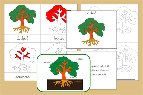 Tarjetas plantas arboles Continuara.org