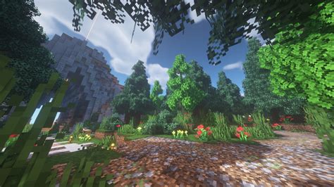 The forest minecraft Continuara.org